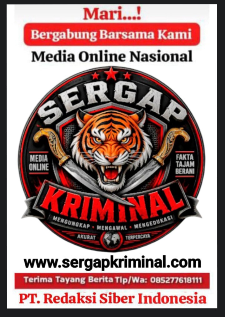 ads sidebar #1